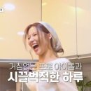 핫 독(HOT DOG) 이미지