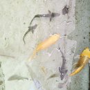 정암나루가든 이미지