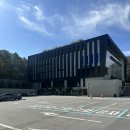 강아지 숲 이미지