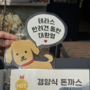 인천 부평 청리단길 강아지 애견 동반 가능식당 에피소드 내돈내산 후기