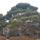 황골목장 이미지