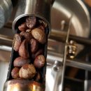 커피꽃향기 이미지