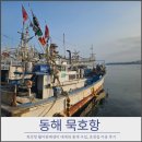 동해다리화장실 | 동해 묵호항 활어판매센터 대게 홍게 구입 방법, 초장집 이용 후기