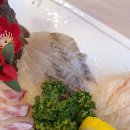 통영오아시스 이미지