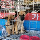 내화축산 이미지