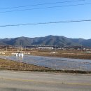 대흥식육점 이미지