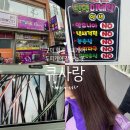 큐사랑구미형곡