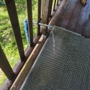 엘가팬션 | ENFP의 대전 근교 여행, 대천해수욕장 여행 일지