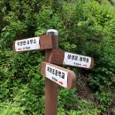 회남재 숲길 이미지