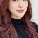 스파커치 이미지