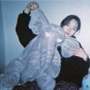 디피라인 - 5360 | 디피라인