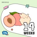 차와 함께 일상으로의 여행 | 임신 일기 | 14주 ~ 18주차 일상(임산부 신발구매, 16주차 정기검진, 임산부 코피, 태교여행)