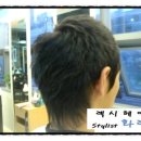 웨스턴 소프트 이미지