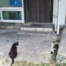 으랏차풍천장어