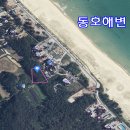 동호민박