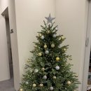 핏 테라피 퍼스널 트레이닝 | 청담동PT 어뮤즈청담 PT 후기