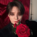 박지연 | 260714 뮤지컬 <드라큘라> 김준수 (샤큘) 박지연 관극 후기 | 지옥을 향한 첫걸음🥀