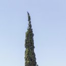 태전한의원 이미지