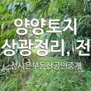 수목부동산중개사무소 이미지