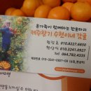 수현약품 이미지