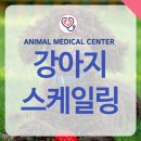 장현동물병원 이미지