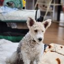 호박동물병원 이미지