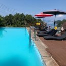 쉐이리코타키나 이미지