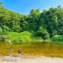 숲속 정원 이미지