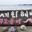세화슈퍼 이미지
