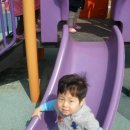 백사체육공원 이미지