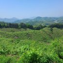 성산성 | 제천 옥녀봉, 성산, 월림봉, 계향산, 형제봉 외