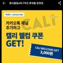 캘리클럽X태그액션더익스트림광명