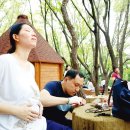 비타민 숲 이미지