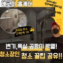 이천종합전기 | 이천·여주 화장실청소, 비데·욕실 곰팡이 박멸까지! 책임집니다