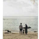 소나무어린이집 이미지