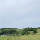 구남매목장 이미지