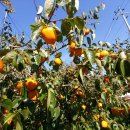 서동민박 이미지