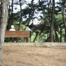 덕동산공원2 이미지