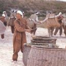 멸치후리는노래 이미지