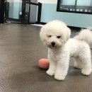 놀다가개유치원 이미지