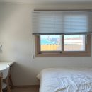 신언리 101 이미지