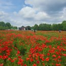 푸른샘농장 이미지