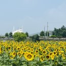 용장천 이미지