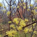 (주)마중 이미지