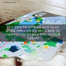벨카 이미지