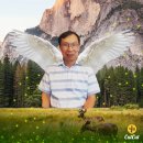 촌장골 - 안산시 상록구 예술광장1로 98 | 촌장골