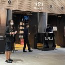 과천시립소년소녀합창단 하모니시리즈1 <노래가 세상이라면> | [시민기자단 2기 박연주] 광주시립오페라단 2024 송년공연〈월드 클래식 오페라 시리즈Ⅳ〉 공연관람 후기