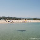 하조대해수욕장 야영장 이미지