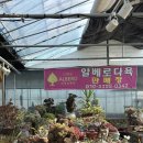 알베로 베이커리 이미지