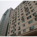 스타직업소개소 이미지
